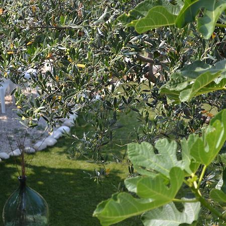 Altino  Giardinotto Casa Vacanze מראה חיצוני תמונה